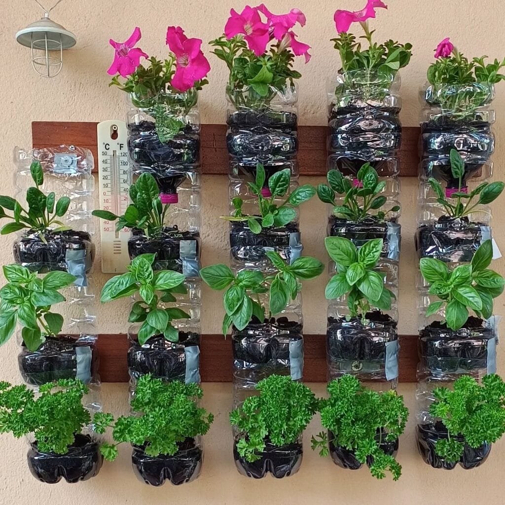 Coltivare l’Orto sul Balcone: Idee, Consigli e Piante Giuste 11 Giardino verticale fai da te con bottiglie di plastica riciclate fissate al muro, usate come contenitori per basilico, petunie e altre piante.