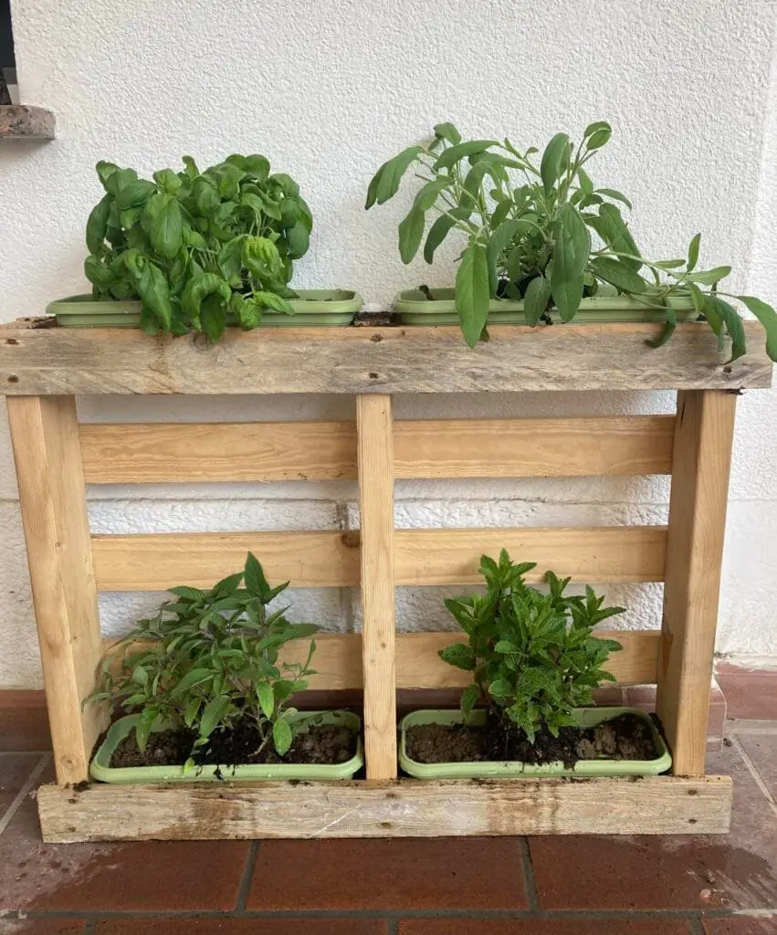 Coltivare l’Orto sul Balcone: Idee, Consigli e Piante Giuste 10 Mini orto realizzato con pallet in legno, trasformato in struttura verticale con vasi di erbe aromatiche e piante da balcone.