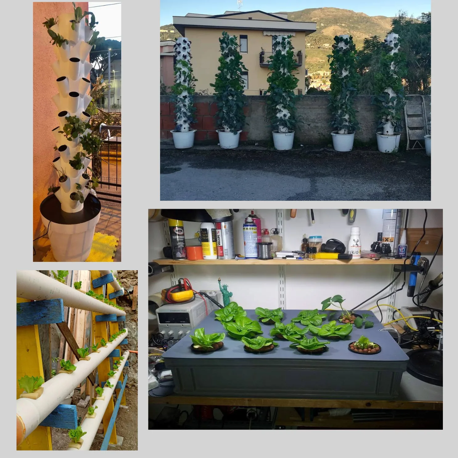 Coltivazione Idroponica in Casa: Guida Completa per Iniziare 6 Collage di quattro sistemi idroponici: impianto DWC indoor con piante in crescita, sistema NFT con tubi in PVC inclinati, torri verticali idroponiche da esterno con coltivazioni rigogliose e torre compatta per balcone con piante aromatiche.