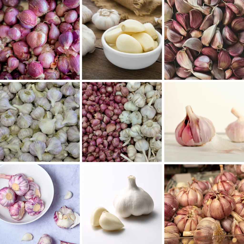 Coltivare Aglio Biologico: Terreno, Semina, Concimazione 1 Neutro Minimalista Elegante Collage di Foto Post di Instagram