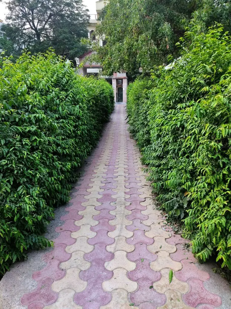 Come Progettare un Giardino da Zero Senza Esperienza 11 Vialetto in cemento sagomato tra siepi verdi in un giardino urbano