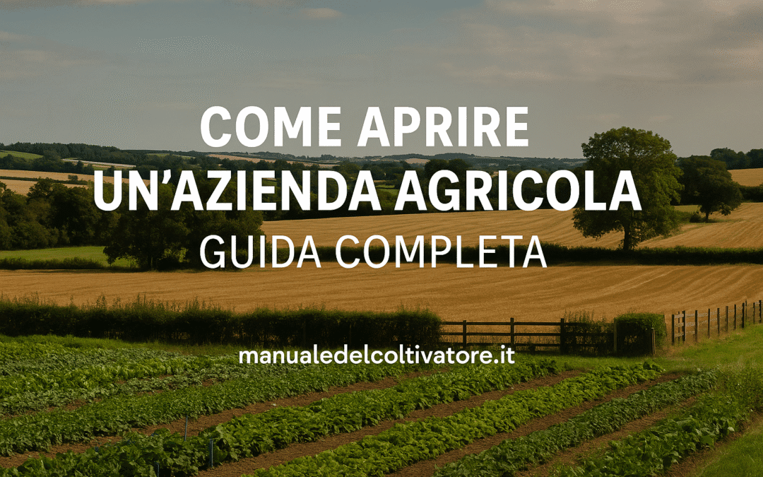 Aprire un’Azienda Agricola in Italia: Requisiti e Costi 2025