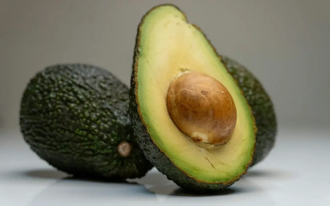 Avocado: Come Coltivarlo Bene, in Casa o in Orto