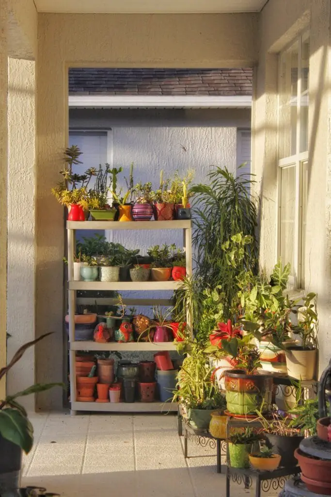 Come Progettare un Giardino da Zero Senza Esperienza 2 Balcone con scaffale pieno di vasi e piante ornamentali da interno ed esterno