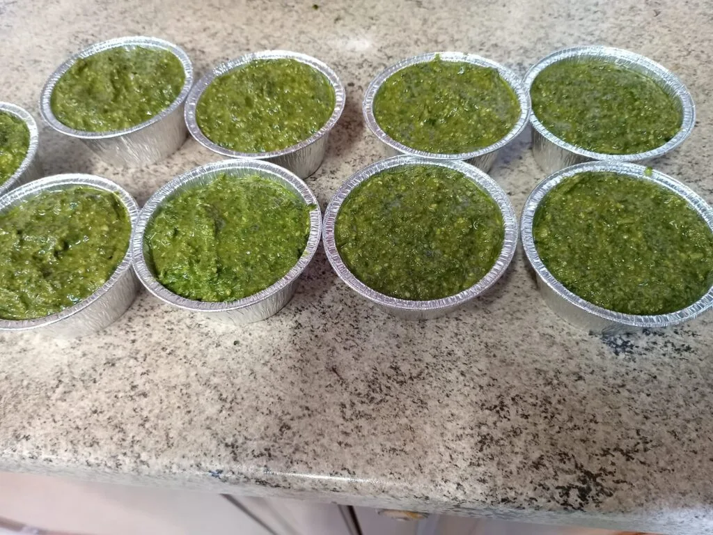 Coltivare Basilico in Orto e in Vaso: Guida Completa 15 vaschette di pesto fatto in casa pronte per essere conservate.