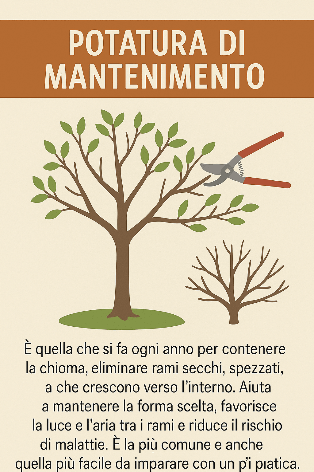 Come Potare Piante da Frutto, Rose, Siepi e Bonsai: Tecniche 2 Illustrazione informativa sulla potatura di mantenimento: mostra una pianta con rami da eliminare evidenziati, con testo che spiega gli obiettivi principali della potatura annuale per contenere la chioma, migliorare luce e aria, prevenire malattie.