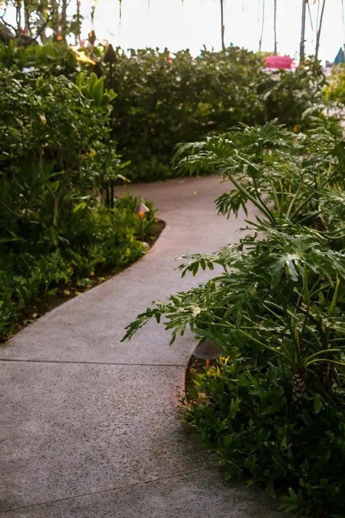 Come Progettare un Giardino da Zero Senza Esperienza 12 Sentiero curvo in cemento lisciato tra cespugli e aiuole verdi