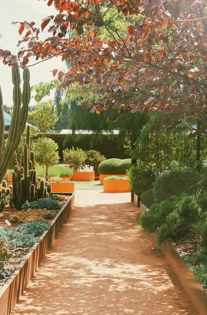 Come Progettare un Giardino da Zero Senza Esperienza 1 Vialetto da giardino con aiuole rialzate, cactus e piante mediterranee