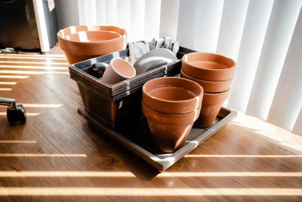 Coltivare l’Orto sul Balcone: Idee, Consigli e Piante Giuste 2 Set di vasi in terracotta e plastica, con sottovasi e attrezzi da giardinaggio, sistemati su un vassoio in legno vicino a una finestra luminosa.