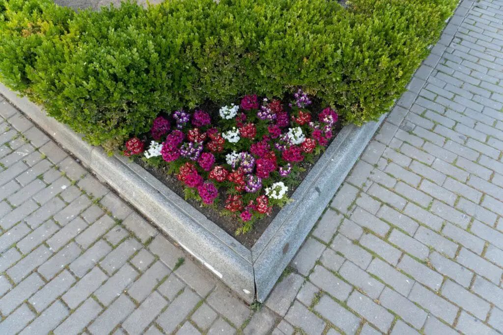 Come Progettare un Giardino da Zero Senza Esperienza 8 Aiuola triangolare con bordura in cemento e fiori colorati disposti in modo ordinato