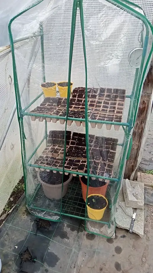 10 Segreti per Coltivare Pomodorini Biologici in Orto e Vaso 5 Serra verticale da balcone con scaffali contenenti vasetti per semina e contenitori biodegradabili, protetta da copertura in plastica trasparente per mantenere calore e umidità.