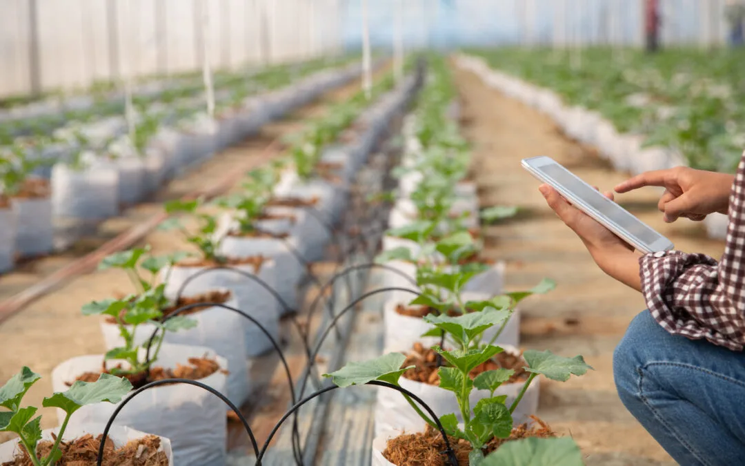 Impianto Microirrigazione: Vantaggi, Costi, Errori Tipici