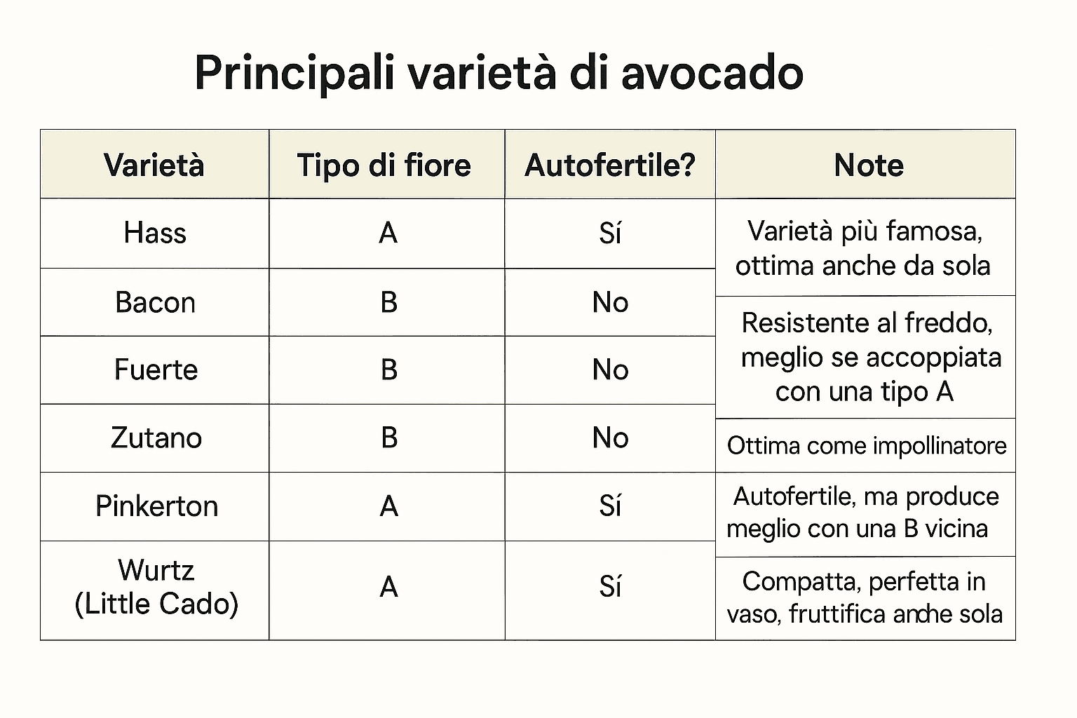 Avocado: Come Coltivarlo Bene, in Casa o in Orto 5 Tabella comparativa delle principali varietà di avocado: per ogni varietà sono indicati il tipo di fiore (A o B), se è autofertile e note sulle caratteristiche principali come resistenza al freddo, produzione e adatta alla coltivazione in vaso.