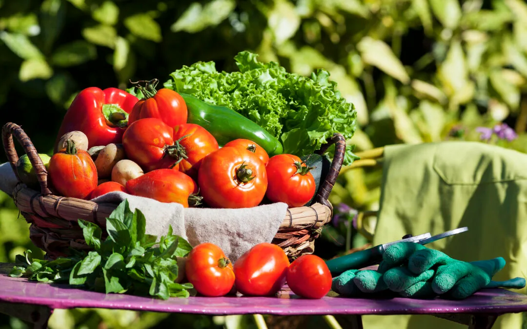 Frutti Maturi Ma Non Dolci: Cause E Soluzioni